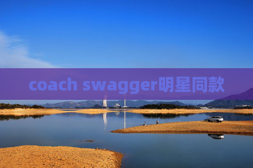 coach swagger明星同款